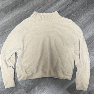 Cozy Cream Mock Neck Women's Sweater